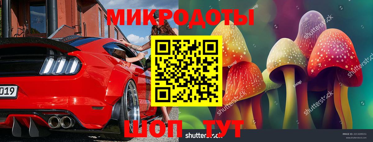 Псилоцибиновые грибы GOLDEN TEACHER  Вход с VPN  Тверь 