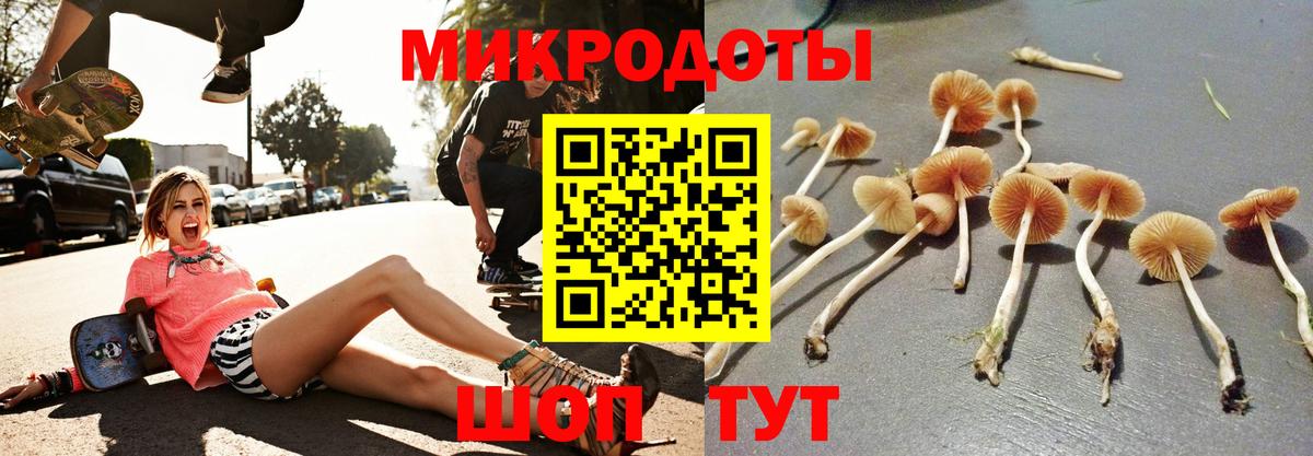 Галлюциногенные грибы Magic Shrooms Тверь