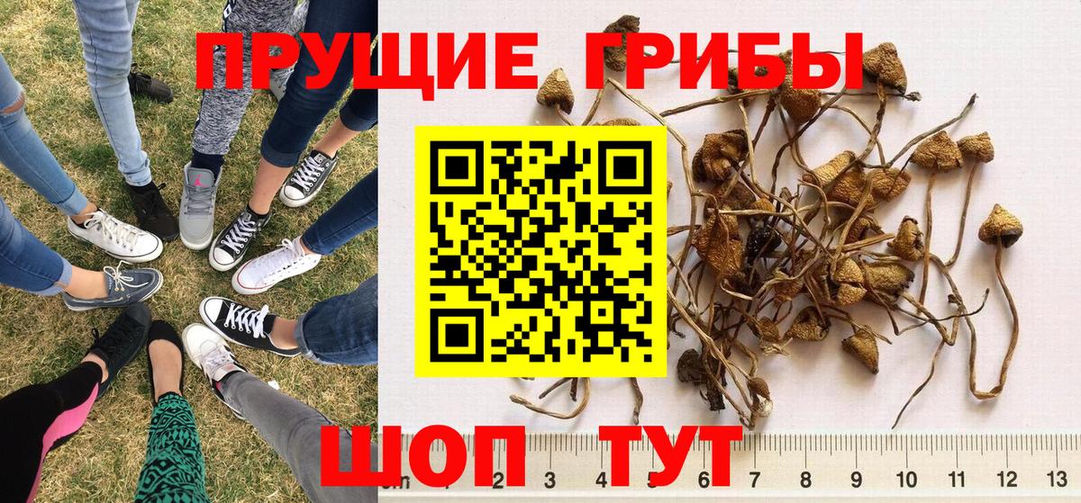 APVP Тверь
